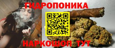 индика Кинель