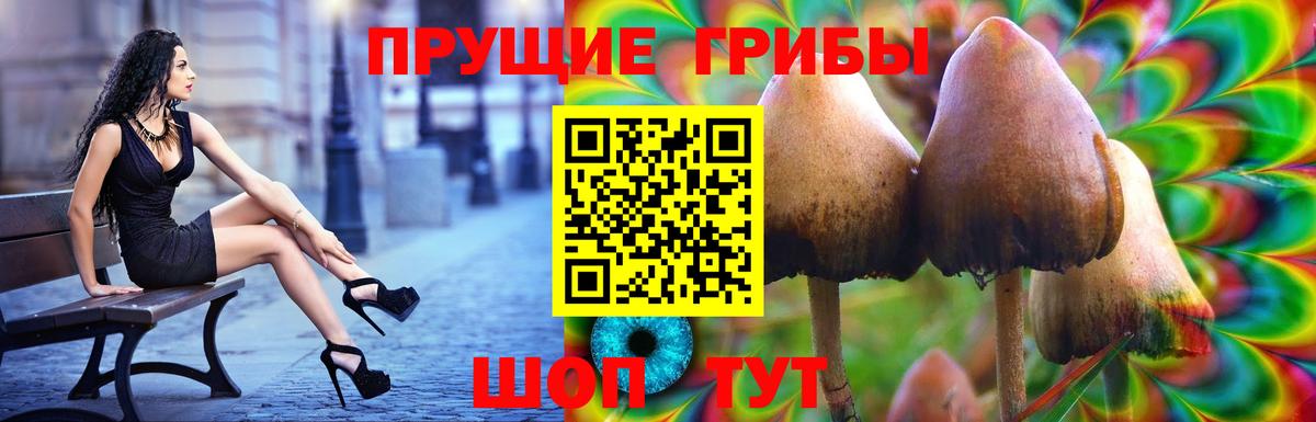 Канаш  Псилоцибиновые грибы мухоморы  цена наркотик  Вход с VPN  Псилоцибиновые грибы MAGIC MUSHROOMS 